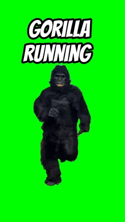 Gorilla Running