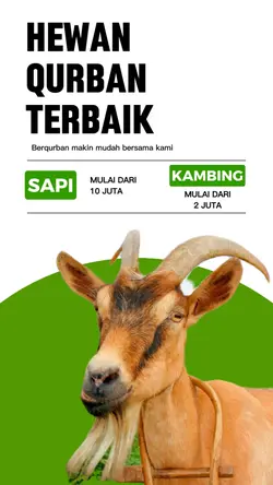 Promosi Hewan Qurban