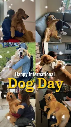 Dog Day 2026