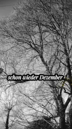 wieder Dezember 