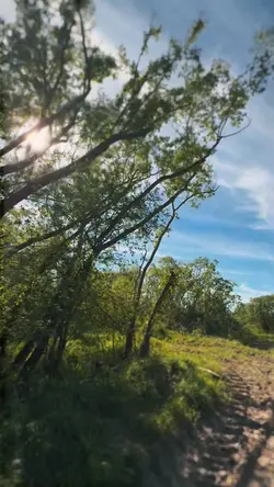 Nature is beautifulπ