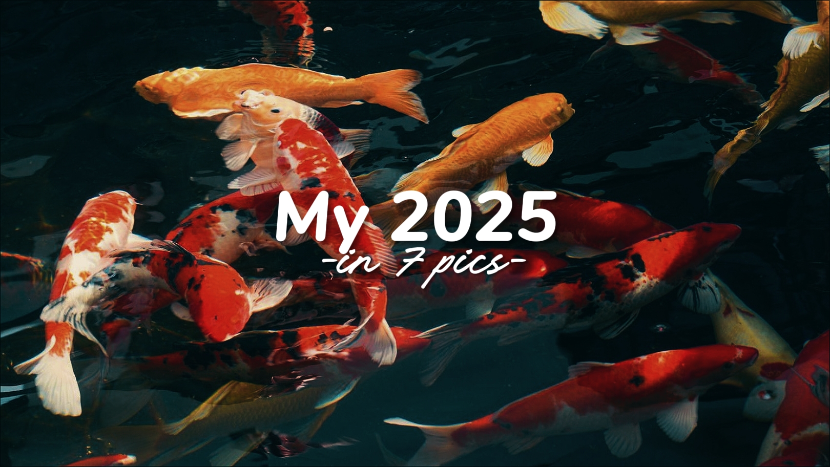 7 resimde 2025 'im
