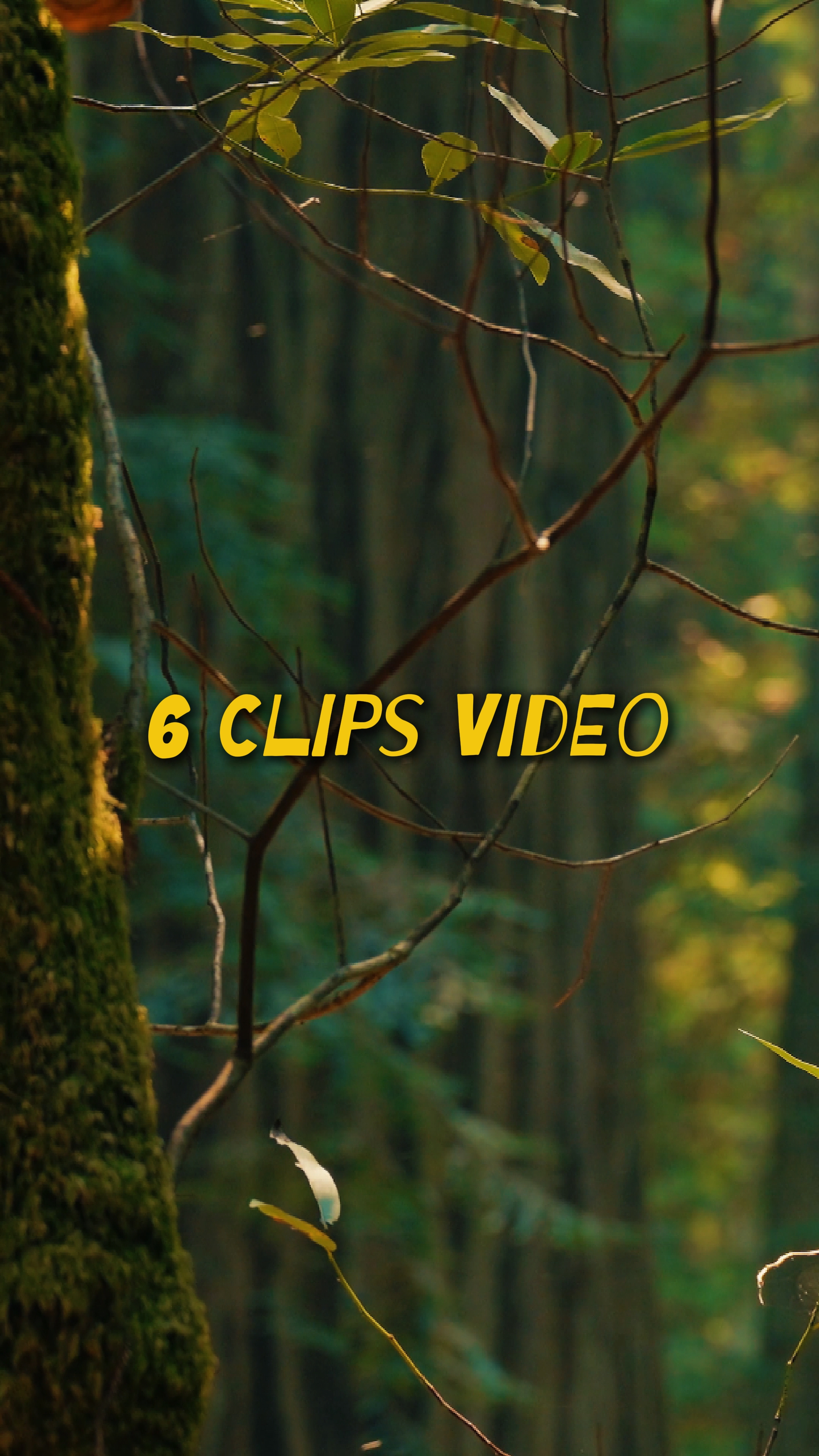 Cinematic 6 Video
