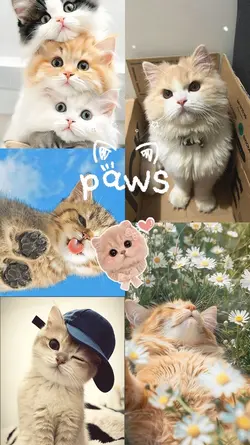 international catday