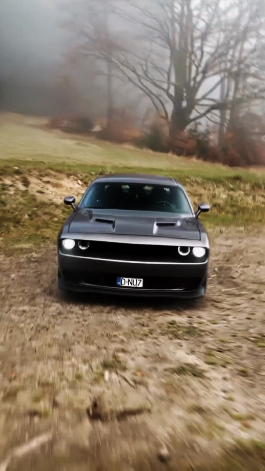 Dodge ARABA