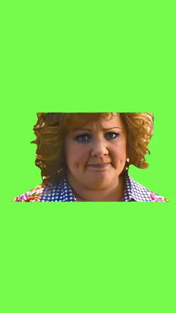 Identity thief 