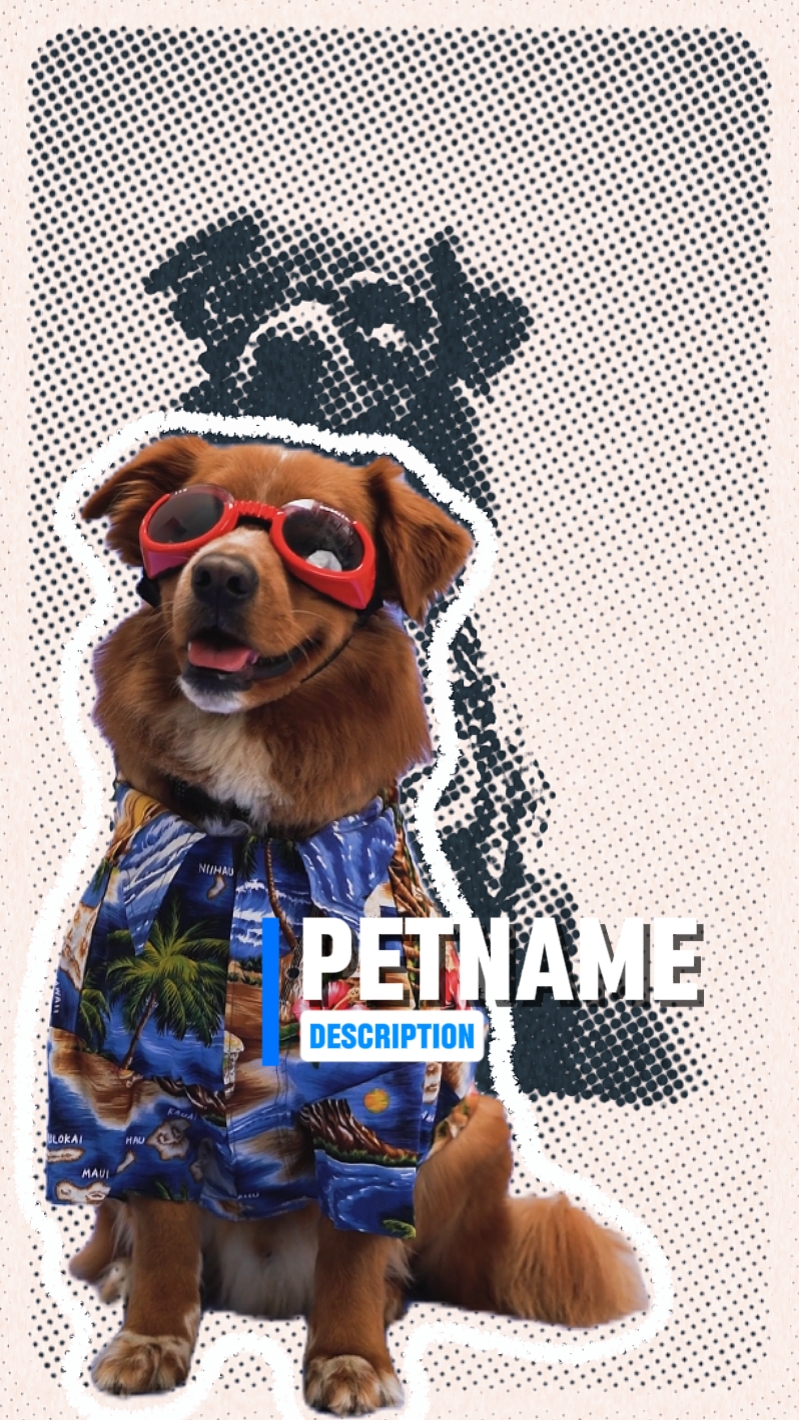 Introdução de animal de estimação