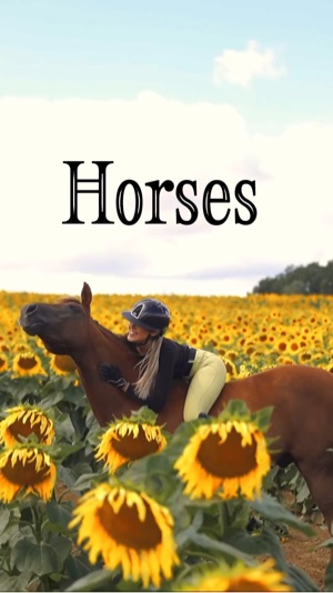 Beauty of horses
