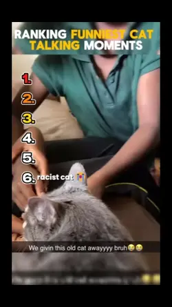Funniest Cat Talking