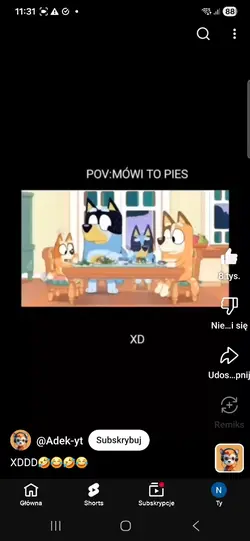 Mówi to pies