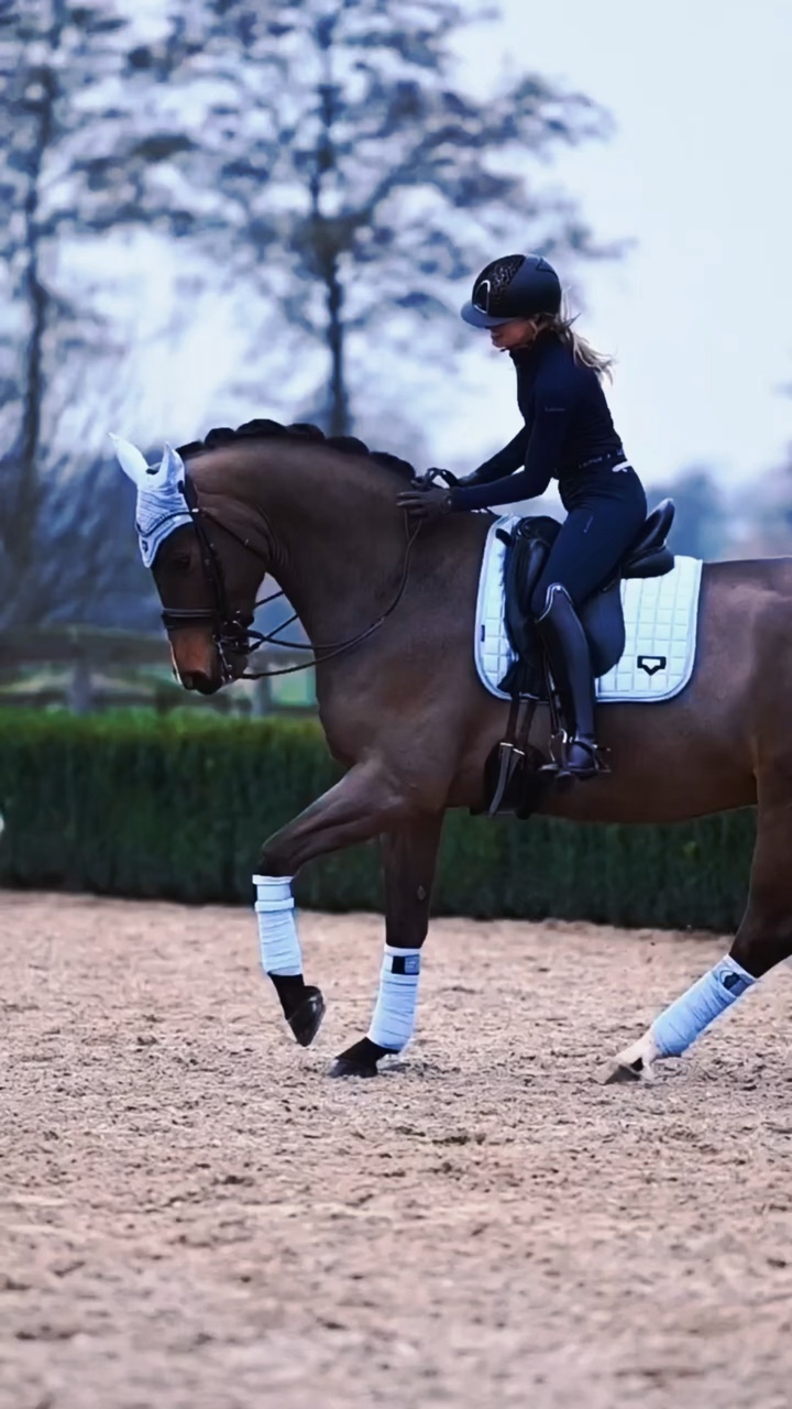 Dressage