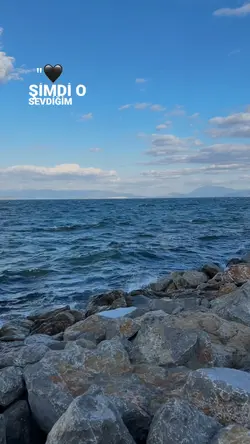 Duygusal şablon