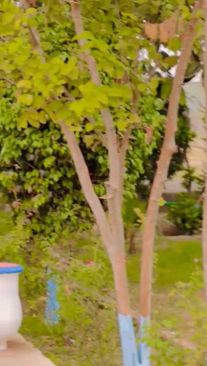 slow or blur motion 