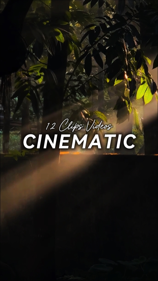 12 Clips Cinématique