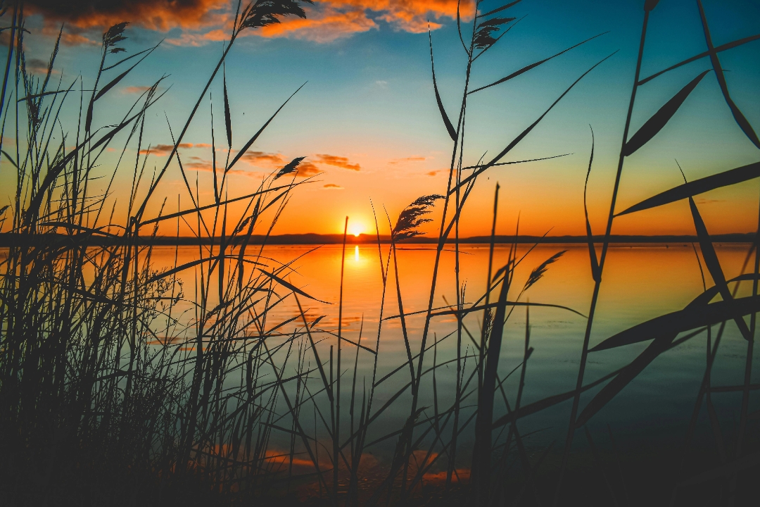 8 photos de paysage