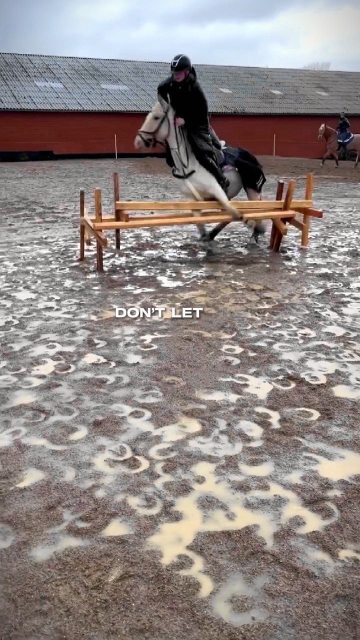 ücretsiz at düzenleme 