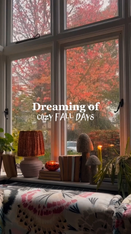 cozy fall days