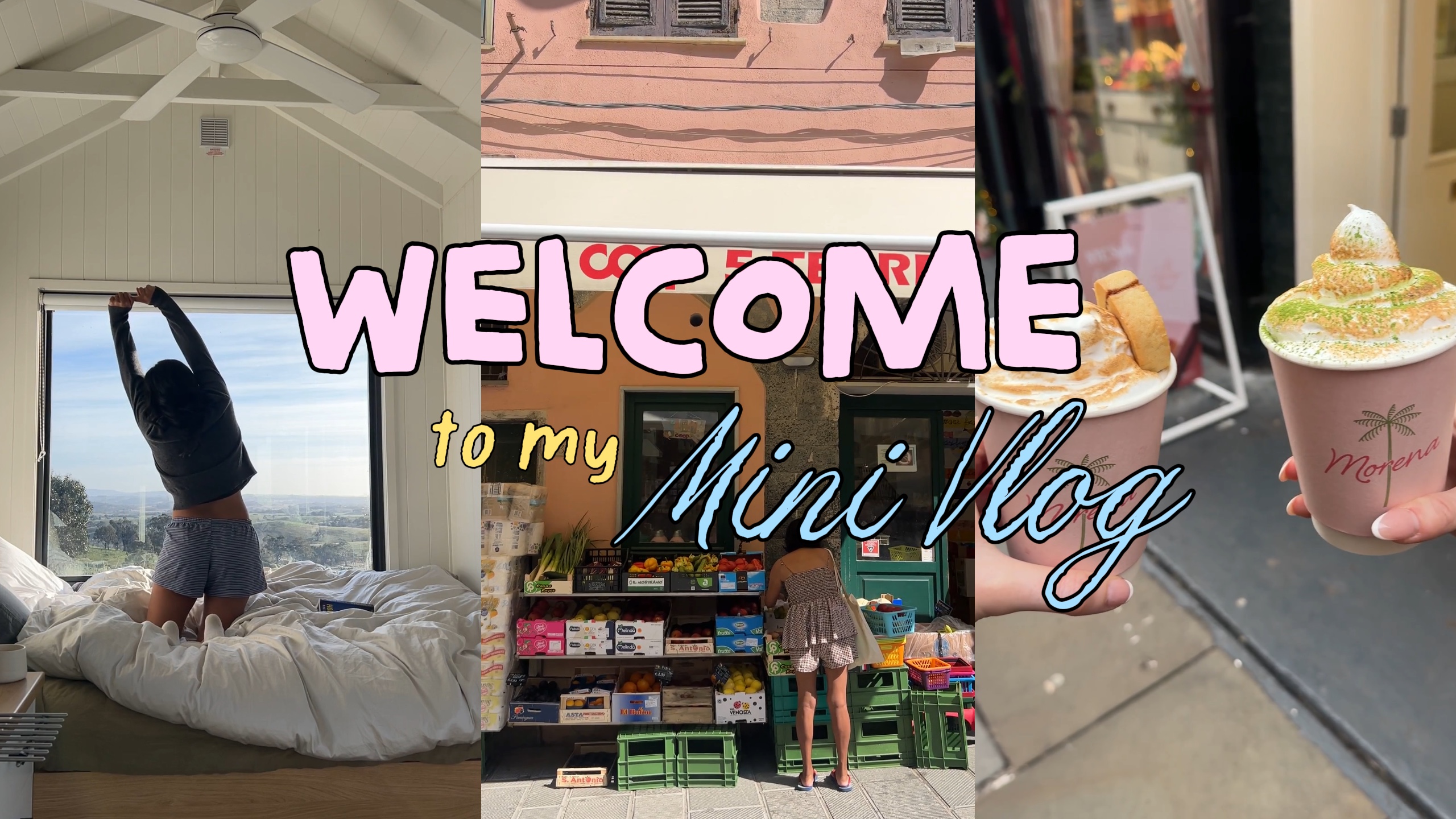Introducción al Vlog 4