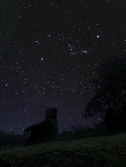 night sky