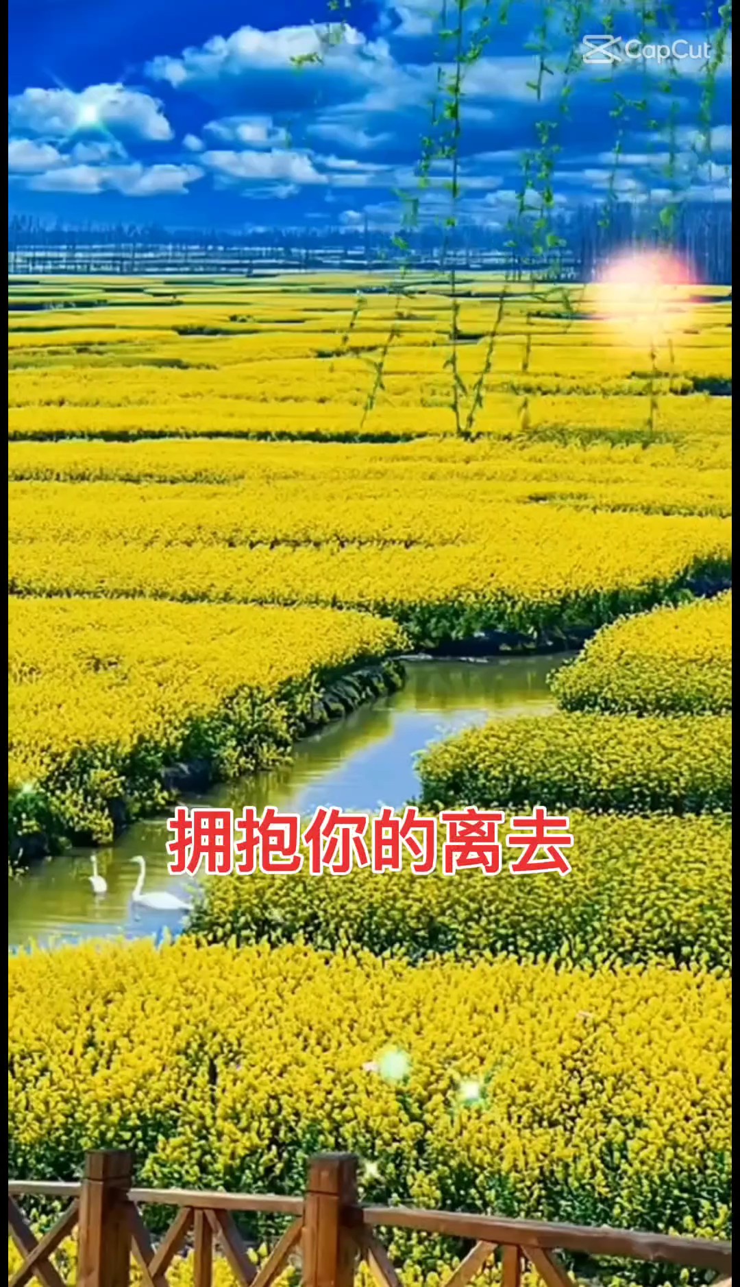 拥抱你的离去