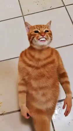 西山 ダディダディ