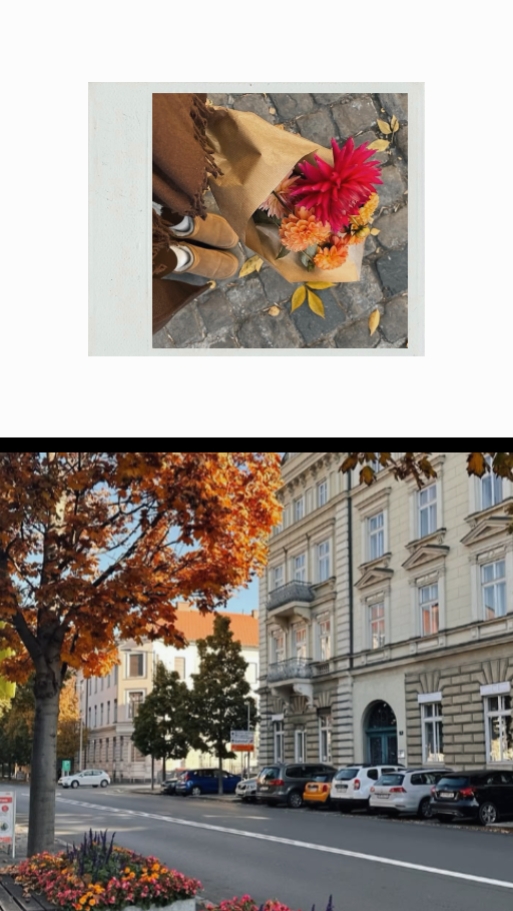 Herbst-Vibes