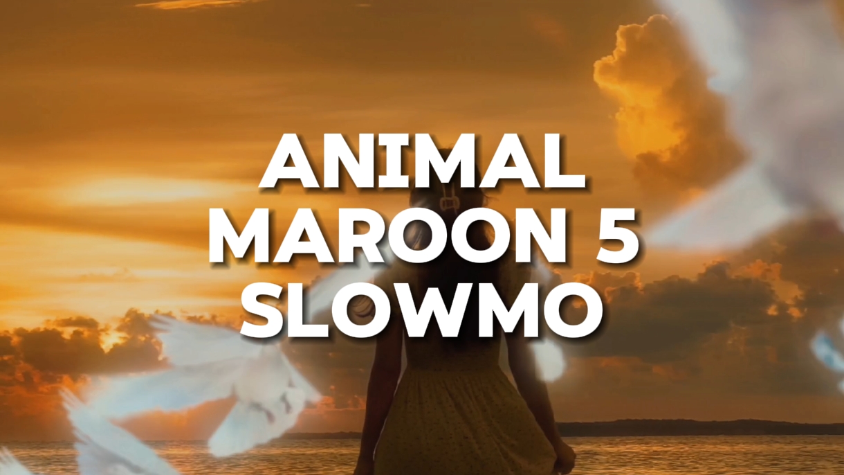 Slowmo Tier
