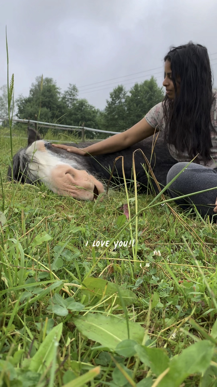 I love you! 🐴❤️