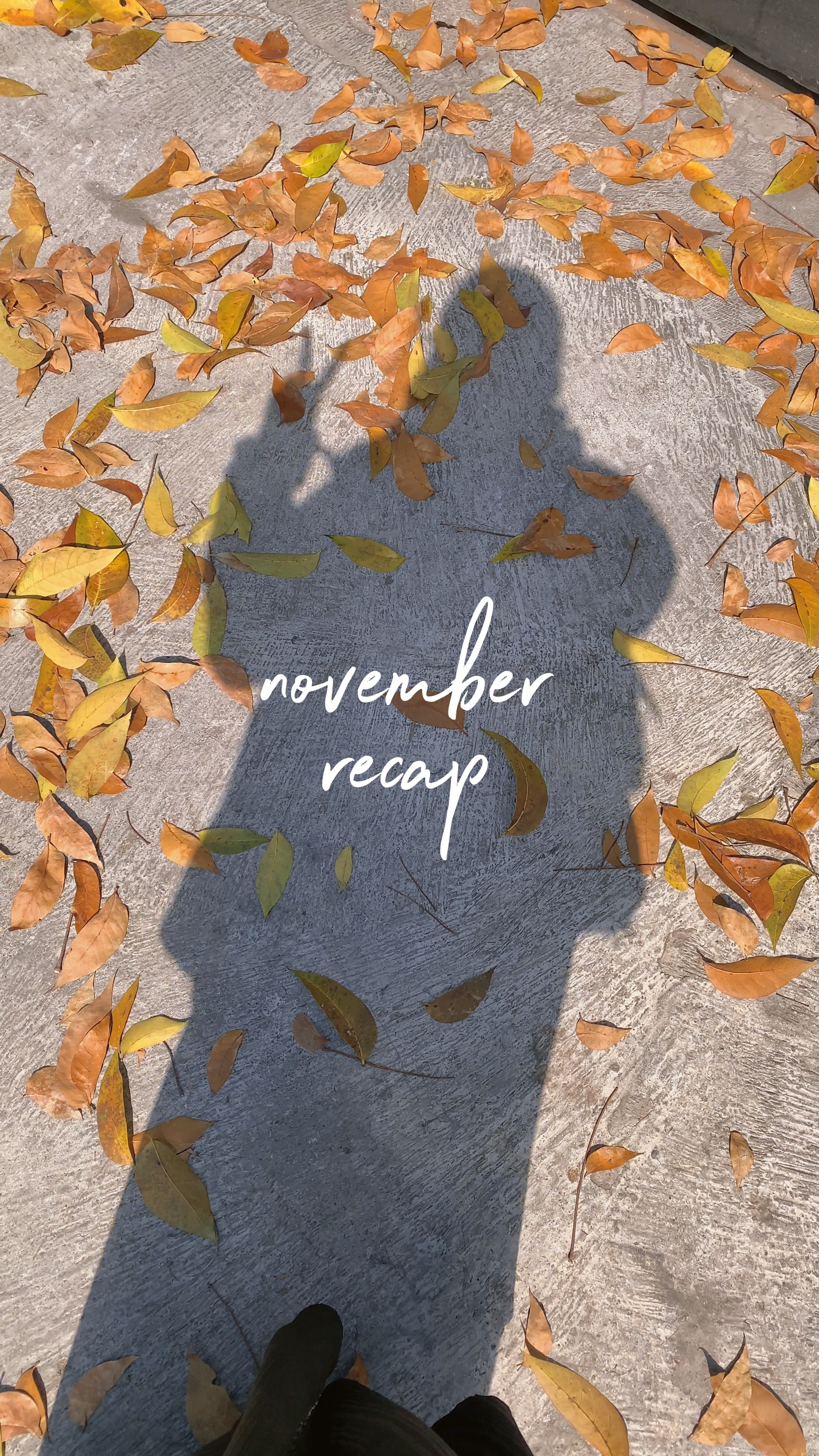 November Recap 50pic