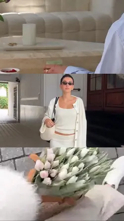 3 grid videos