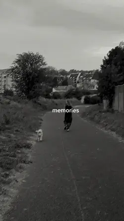 memories 