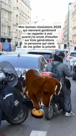 Chien à la sonnette
