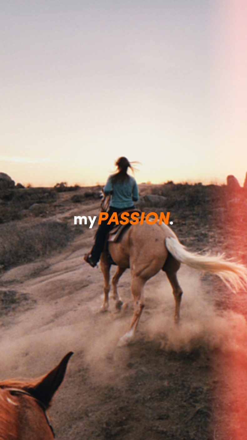 riding horse