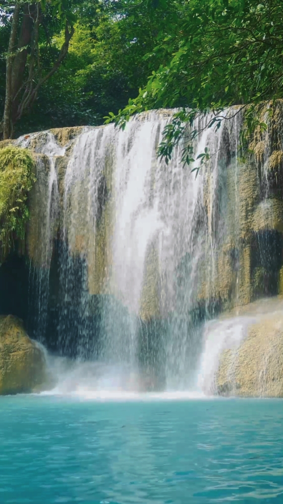 nature dan waterfall