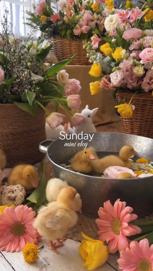 Sunday mini vlog 