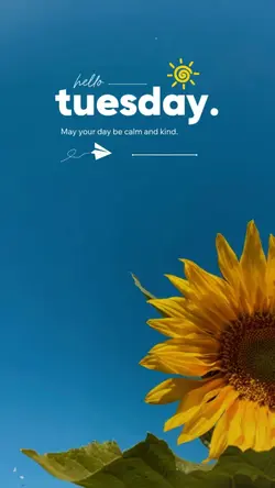 Hello Tuesday 🌞