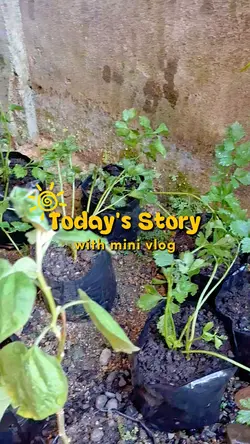 Vlog