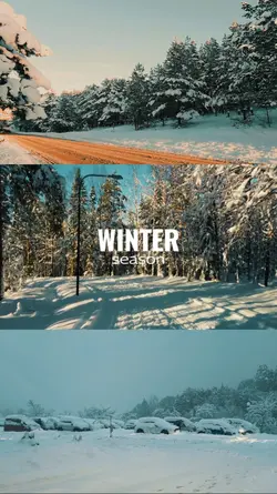winter season 