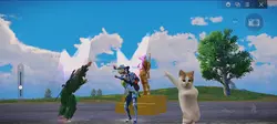 WWCD pubg kucing