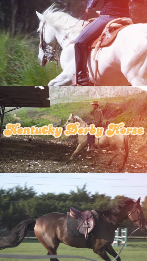 Kentucky Derby Horse