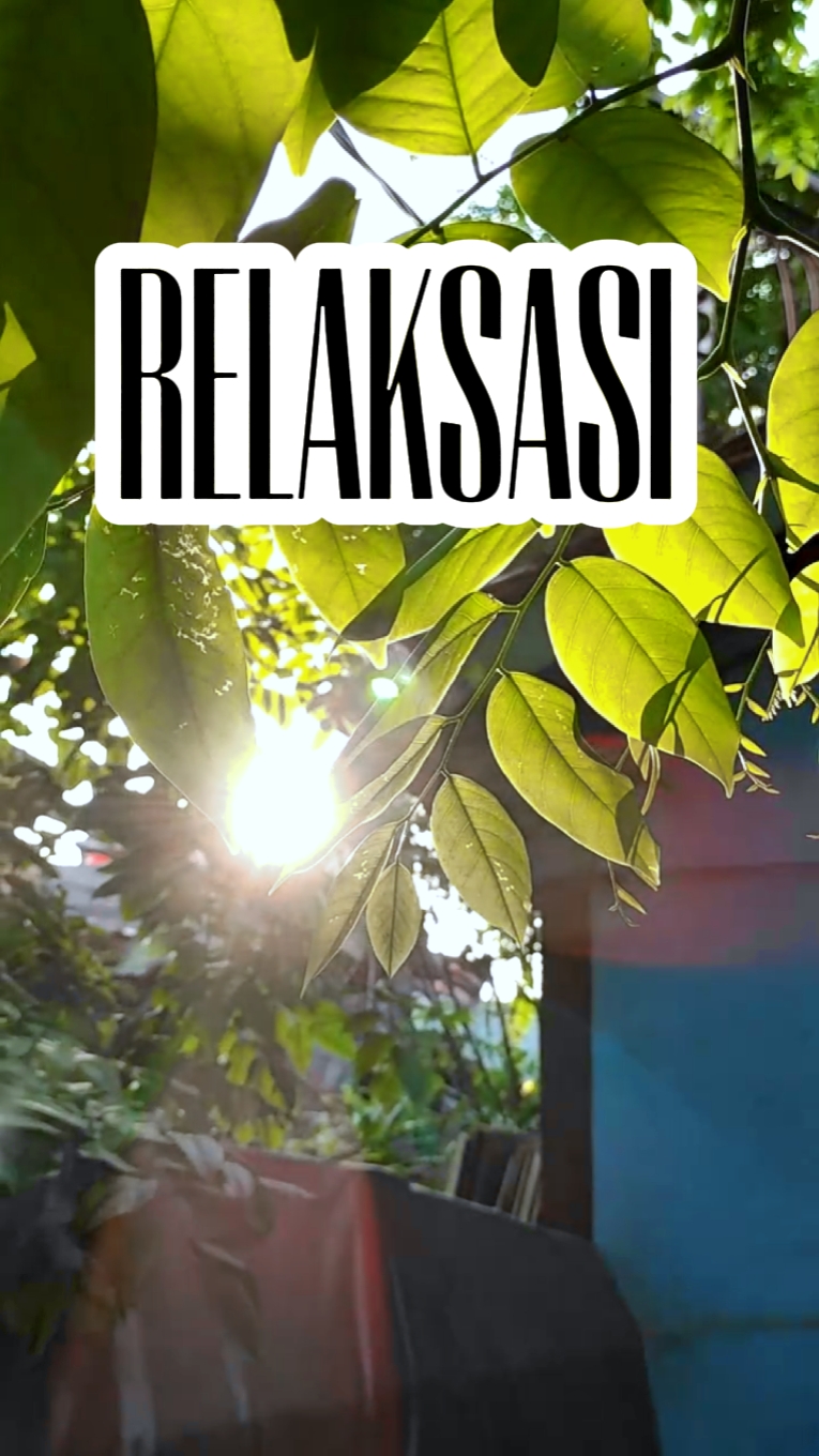 Cinematic rilex