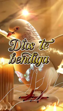Bendecida noche 