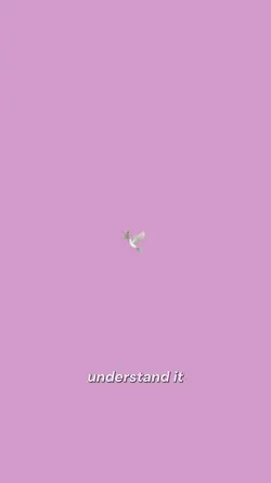 Heaven 🤍🕊️