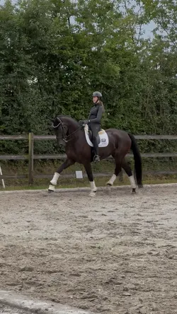 SLOWMO 4K DRESSAGE