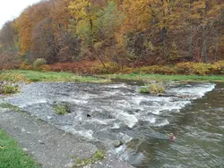edytowanie zdjęć