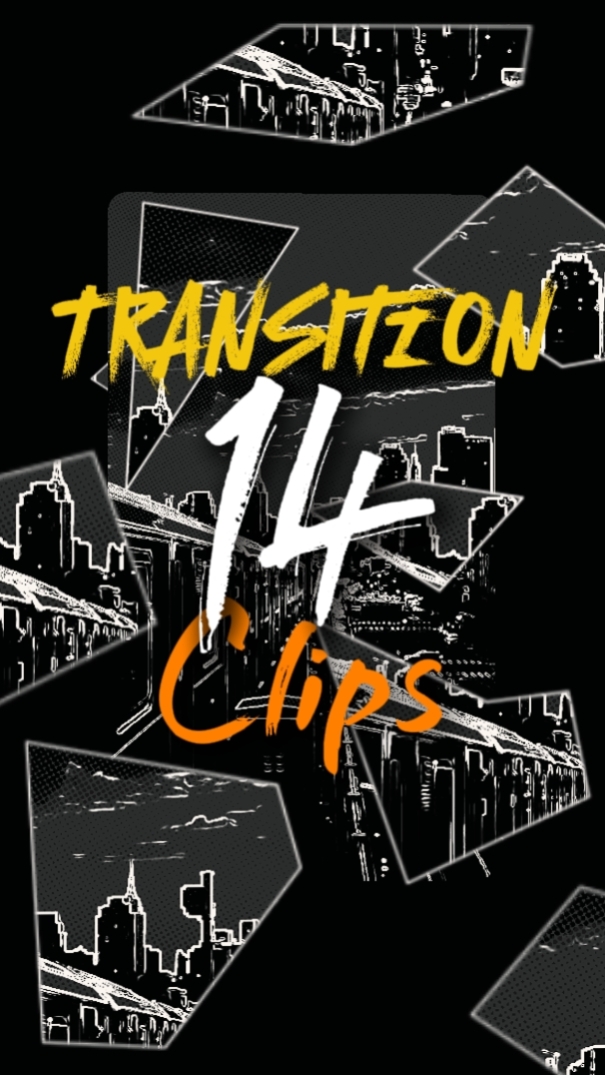TRANSITION 14 CLIPS