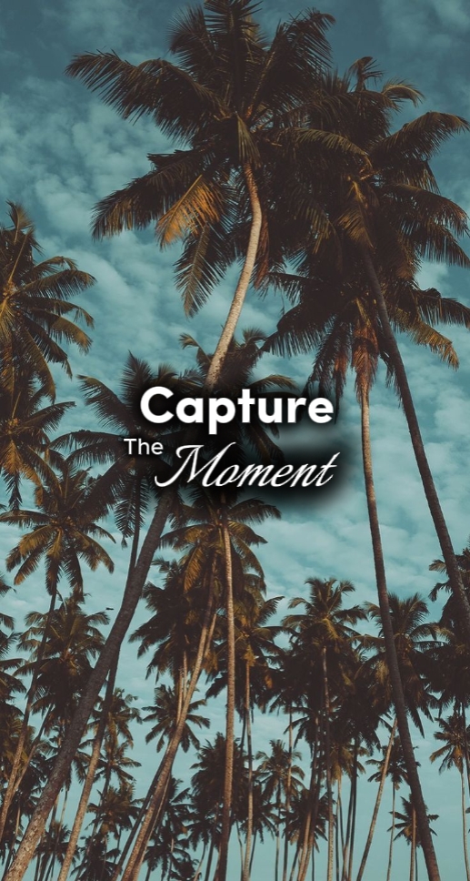 Moments | 35 photos 