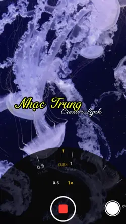 Nhạc trung