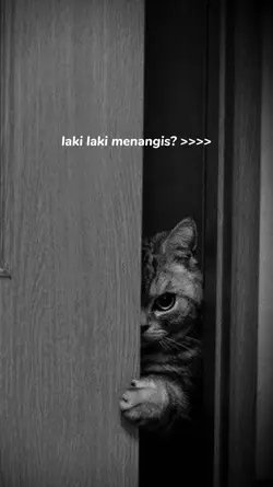 laki laki menangis??