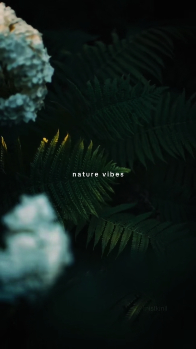 Vibrações da natureza 